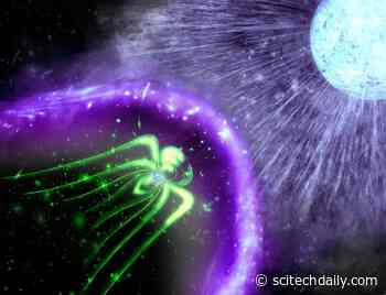 Our Galaxy’s Brightest Gamma-Ray Binary System May Be Powered by a Magnetar Star