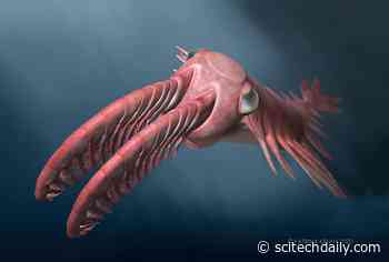 Incredible Vision in Ancient “Radiating Teeth” Deep Sea Creatures Drove an Evolutionary Arms Race