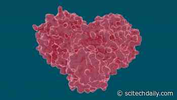 Potential of Hepatitis C Drugs to Treat COVID-19 by Stopping the Virus From Spreading