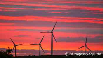 Die Pandemie erreicht die Energiewirtschaft: Wer rettet die alten Windräder? - Politik - Tagesspiegel