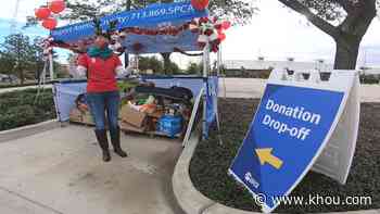 Houston SPCA hosts 'touchless' holiday pet food drive - KHOU.com