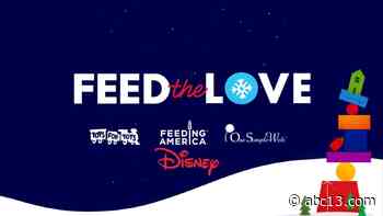 Houston holiday charities - ABC13 and Disney Feed the Love campaign - KTRK-TV