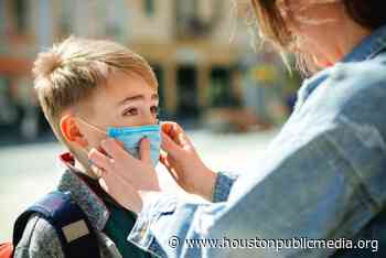 Coronavirus In Greater Houston: Texas Hospitalizations Are Reaching July COVID-19 Peaks - Houston Public Media