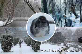 UK weather: South London’s snow days from recent years