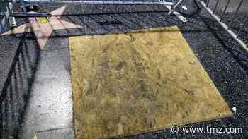Donald Trump Walk of Fame Star Caged, Boarded Up