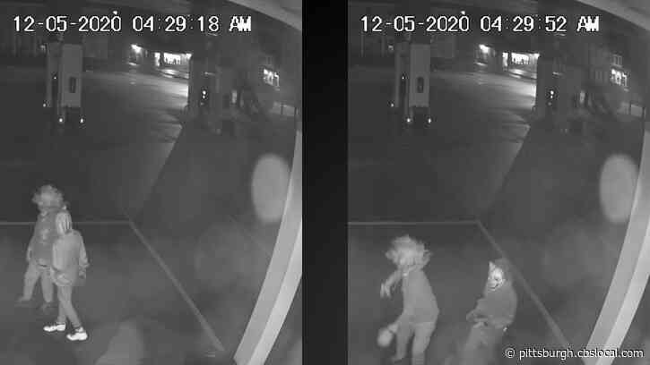 Police Ask For Public Assistance In Identifying Masked Suspects