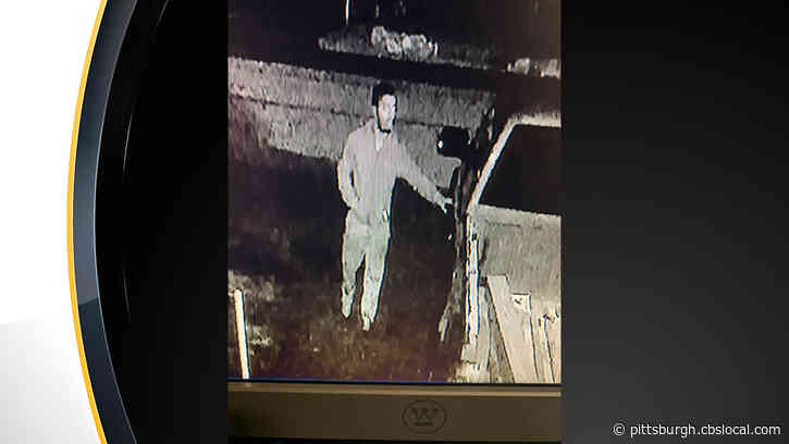 North Versailles Police Department Searching For Trespassing Suspect