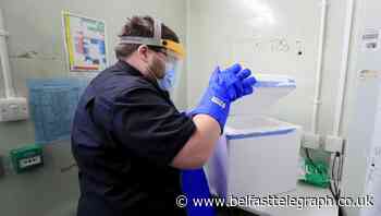 Covid-19 vaccine rollout: How it is all unfolding