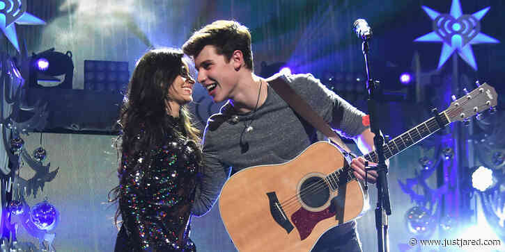 Shawn Mendes' Dad Calls Camila Cabello His 'Daughter-In-Law'!