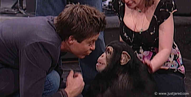 Jason Bateman Reveals He Was Almost Attacked by a Chimp When He Hosted 'SNL' in 2005 - Watch!