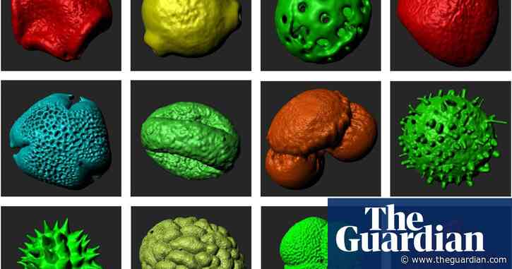 Not to be sneezed at: how 3D printing is supersizing the tiny world of pollen