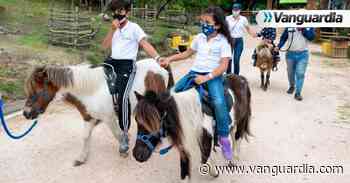Pony Parque en la Mesa de los Santos apuesta por convertirse en un referente del turismo nacional - Vanguardia