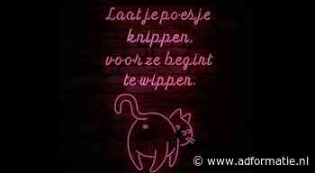 Slechtste slogan: laat je poesje knippen voor ze begint te wippen