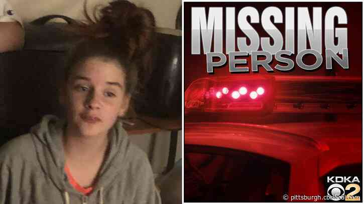 Pittsburgh Police Locate Missing 14-Year-Old Danyelle Gibson
