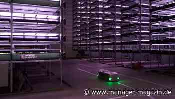 Dänemark: Die größte Vertical Farm Europas entsteht in der Nähe von Kopenhagen
