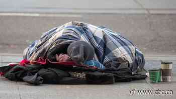 Trench fever, rare disease that afflicted WWI soldiers, detected in homeless Winnipeggers