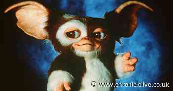 How to stream Gremlins in the UK this Christmas