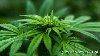 Cannabis customers have been complaining Ontario's pot is 'too dry'