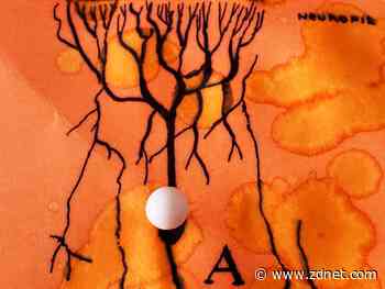 Breeding neuromorphic networks for fun and profit: The new reproductive science