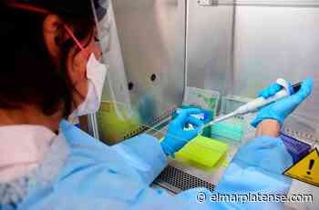 Buenos Aires sumó 1.374 casos de coronavirus - El Marplatense