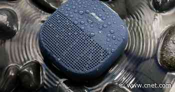 The best 2020 holiday gifts under $100     - CNET