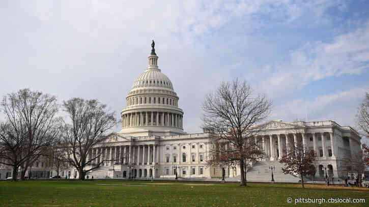 Stimulus Package Update: Assistance To Unemployed, Small Businesses, State And Local Governments Should Be Priorities, Says Economist