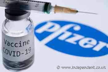 What is Covid vaccine made of? Scientist behind Pfizer and Moderna vaccine technology explains