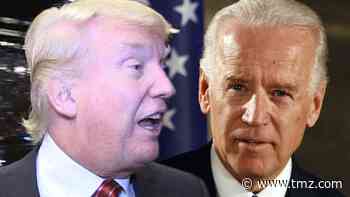 Trump Campaign Sues Joe Biden Directly Over Wisconsin Election Results