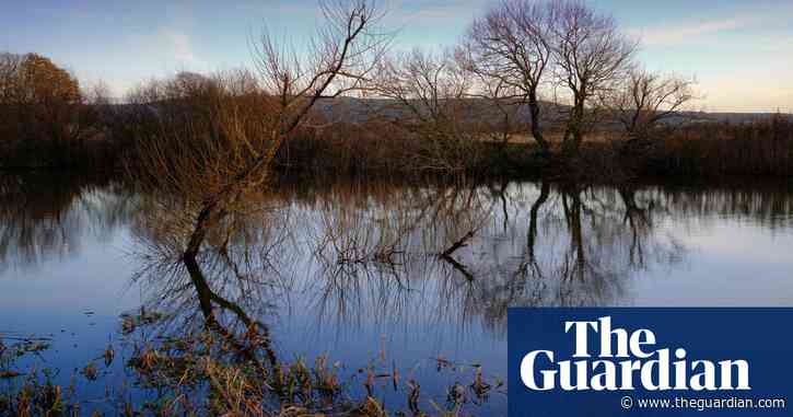 Country diary: calm waters and chasing birds