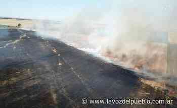 Incendio de gran magnitud en Coronel Dorrego (video) - La Voz del Pueblo