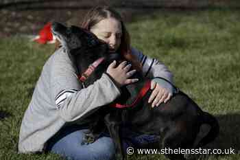 Dog reunited with owners three years after going missing - St Helens Star