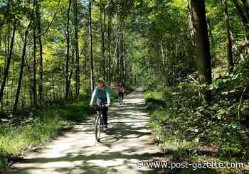 State parks and forests cancel group activities on New Year's Day