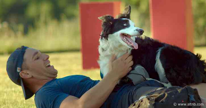 Utah dog and his human win $500,000 on Amazon Prime’s ‘The Pack’