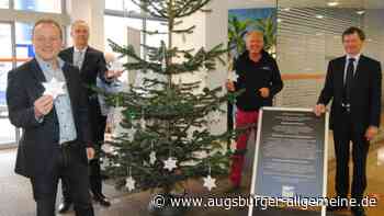 Wie die Wunschbaumaktion in Bobingen funktioniert - Augsburger Allgemeine
