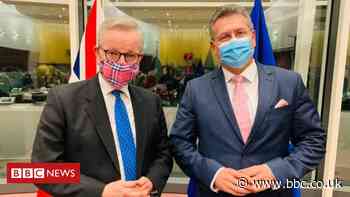 Brexit: UK and EU reach deal on Northern Ireland border checks