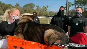 Houston launches first-of-its-kind Life Flight for injured K-9 officers - KHOU.com
