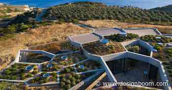 DECA architecture translates the voronoi into 'hourglass corral' dwelling - Designboom