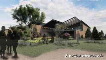 Anticlinical: Architecture Students Design Holistic Wellness Space for CU Anschutz School of Medicine - CU Denver News