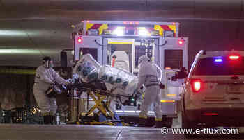 Diary of a Disease - Architecture - e-flux - E-Flux