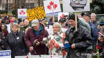 Military launches investigation after reservist attacks vaccine plan at anti-lockdown rally