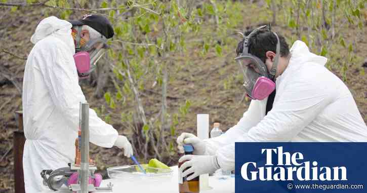 Revealed: how Mexico's Sinaloa cartel has created a global network to rule the fentanyl trade