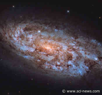 Hubble Images Beautiful Star-Forming Spiral Galaxy: NGC 1792 | Astronomy - Sci-News.com