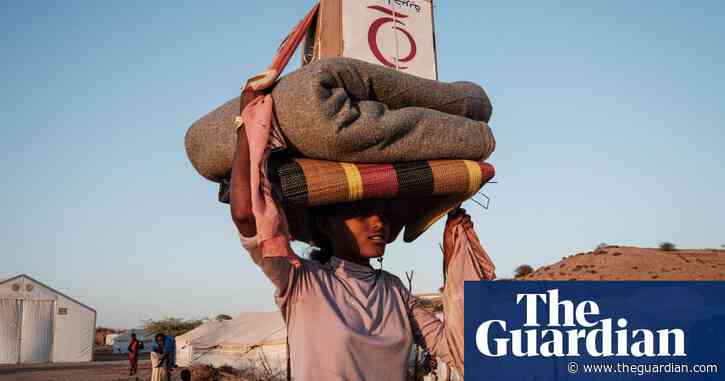 Diplomats back claims Eritrean troops have joined Ethiopia conflict