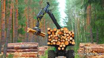 New report details how businesses can help achieve SDG 12: Responsible Production and Consumption