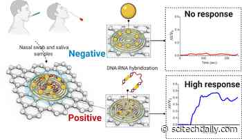 Detecting COVID-19 in Less Than 5 Minutes With a Paper-Based Electrochemical Sensor
