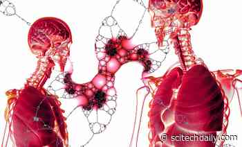 New U.S. Research Confirms COVID-19 Complications: Lung, Kidney and Cardiovascular Issues