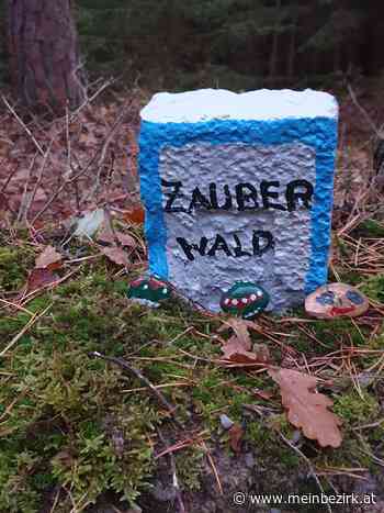 Wanderung am Gfieder: Zauberwaldweg - Neunkirchen - meinbezirk.at
