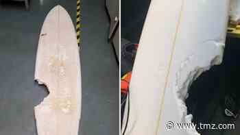 Shark Attacks Surfer In Hawaii Forcing Pro Surf Competition to Suspend Action