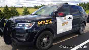 OPP investigating after human remains found in Sudbury’s Long Lake area