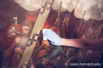 The arts may heal under Biden-Harris administration, say experts - Harvard Gazette